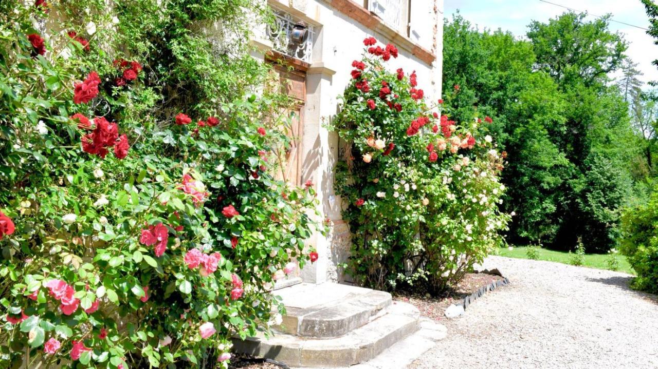Chateau De Belespy La Bastide-de-Besplas Exterior foto